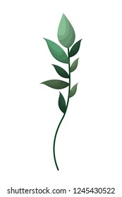 branch with leafs isolated icon