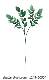 branch with leafs isolated icon