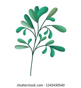 branch with leafs isolated icon