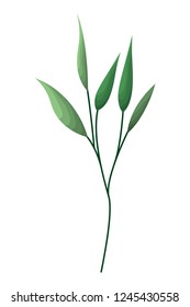 branch with leafs isolated icon