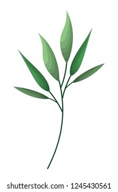 branch with leafs isolated icon