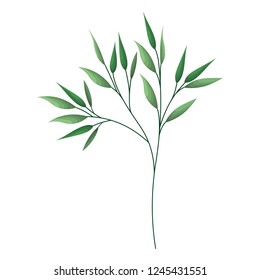 branch with leafs isolated icon