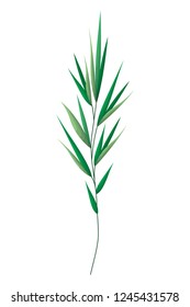 branch with leafs isolated icon
