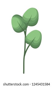branch with leafs isolated icon
