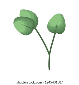 branch with leafs isolated icon