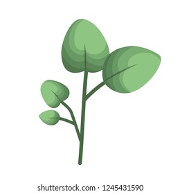 branch with leafs isolated icon