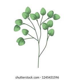 branch with leafs isolated icon
