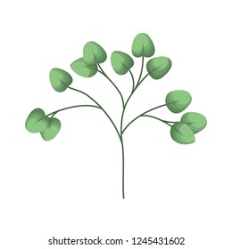 branch with leafs isolated icon
