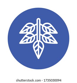 branch with leafs isolated icon vector illustration design