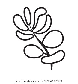 branch with leafs line style icon vector illustration design