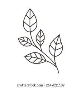Filiale mit Liniensymbol