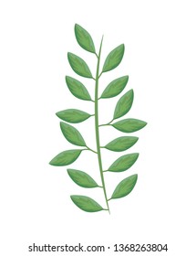 branch with leafs natural