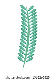branch with leafs natural