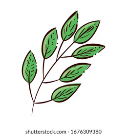 branch with leafs natural isolated icon vector illustration design