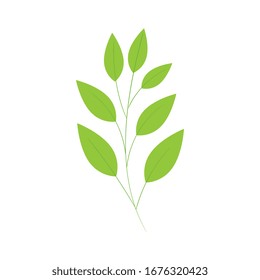 branch with leafs natural isolated icon vector illustration design