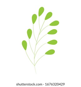 branch with leafs natural isolated icon vector illustration design