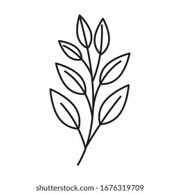 branch with leafs natural line style vector illustration design