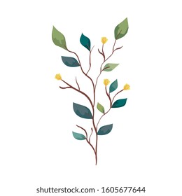 branch with leafs nature ecology isolated icon vector illustration design