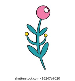 branch with leafs nature and seeds vector illustration design