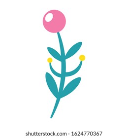 branch with leafs nature and seeds vector illustration design