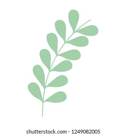 branch with leafs plant