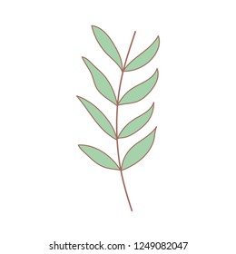 branch with leafs plant
