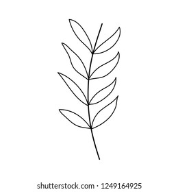 branch with leafs plant