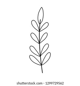 branch with leafs plant