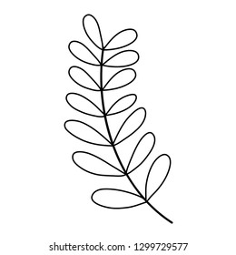 branch with leafs plant