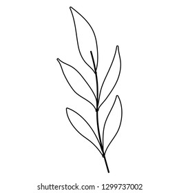 branch with leafs plant