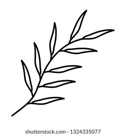 branch with leafs plant