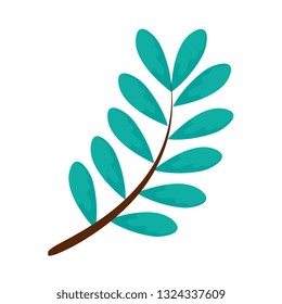branch with leafs plant