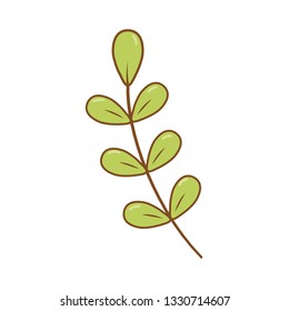 branch with leafs plant