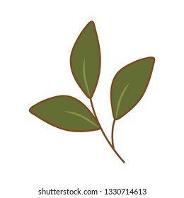 branch with leafs plant