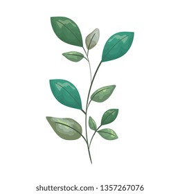 branch with leafs plant