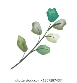 branch with leafs plant