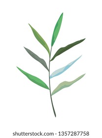 branch with leafs plant