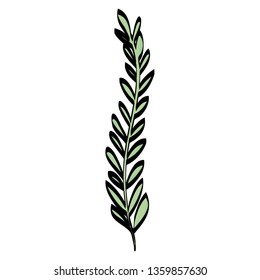 branch with leafs plant