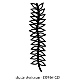 branch with leafs plant