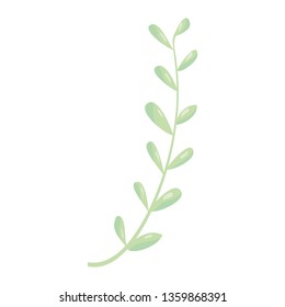 branch with leafs plant