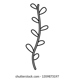 branch with leafs plant