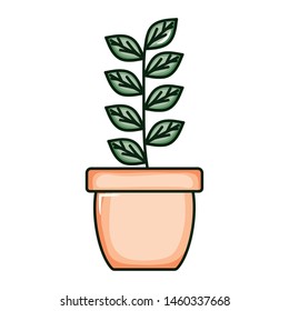branch with leafs plant in ceramic pot