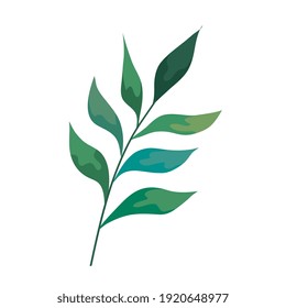 branch with leafs plant decorative icon vector illustration design