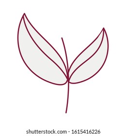 branch with leafs plant garden vector illustration design