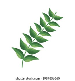 branch with leafs plant icon