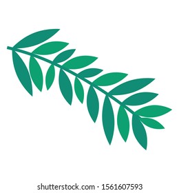 branch with leafs plant icon vector illustration design