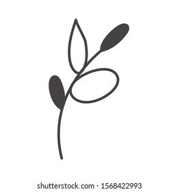 branch with leafs plant icon vector illustration design