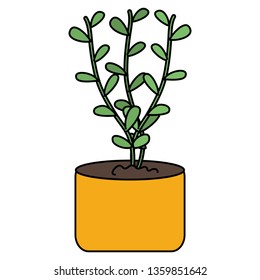 branch with leafs plant in pot