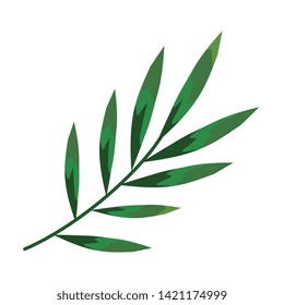 branch with leafs plants icon