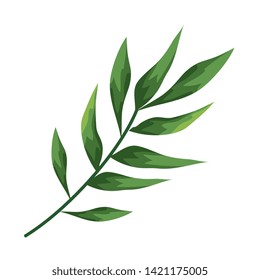 branch with leafs plants icon